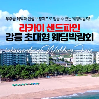 라카이 샌드파인 강릉 웨딩박람회